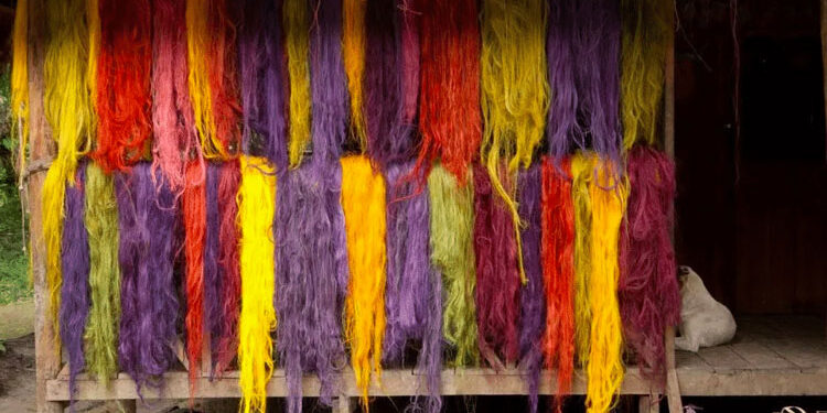 The Real Jardín Botánico-CSIC presents the exhibition ‘Color Amazonia’