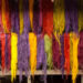 The Real Jardín Botánico-CSIC presents the exhibition ‘Color Amazonia’
