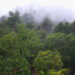 Exhibition ‘Landscape culture: the mountain, the tree and the river’