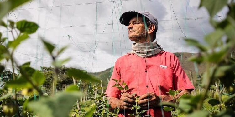 España aporta 35 millones de euros a Colombia para la población rural en condiciones de pobreza