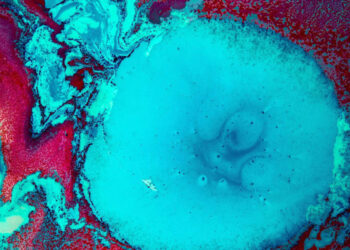 Expertos franceses y españoles tratan cómo ‘Salvar el Océano’