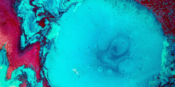 Expertos franceses y españoles tratan cómo ‘Salvar el Océano’