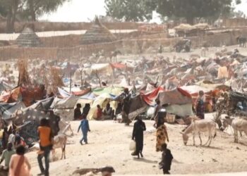 Sumar pide el “liderazgo de España” para promover la paz en Sudán