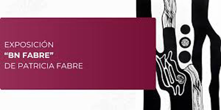 The Instituto Cultural de México exhibits ‘BN FABRE’, by Patricia Fabre