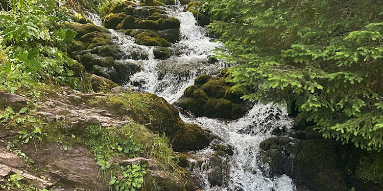El Instituto Francés trata ‘El agua, un bien común que preservar’