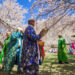 ‘Pakistan: a culture to be discovered’, the Embassy exposes in Granada