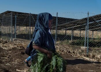 AECID will subsidize innovation projects for development with up to €11 million in 2025