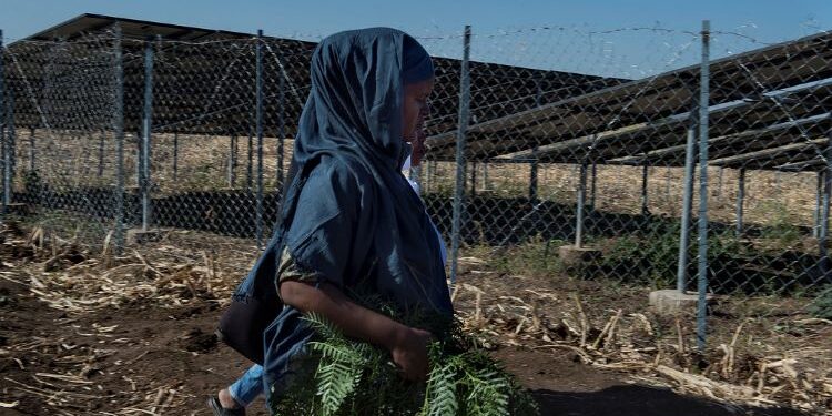 La AECID subvencionará hasta con 11 millones de euros los proyectos de innovación para el desarrollo en 2025