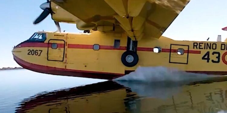 Spain offers urgent assistance to Israel to combat forest fires