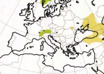 Sumar accuses AEMET of including Western Sahara on a map of Morocco