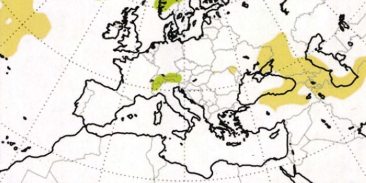 Sumar carga contra AEMET por incluir el Sáhara Occidental en un mapa de Marruecos
