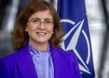 Sesión virtual en el INCIPE sobre la cumbre de la OTAN, con Carmen Romero