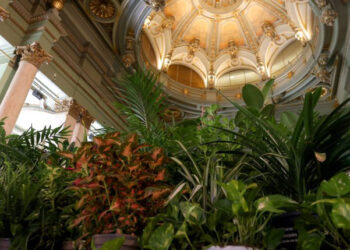 El Círculo de Bellas Artes vuelve a ser este verano un refugio climático