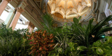 The Círculo de Bellas Artes is once again this summer a climatic refuge