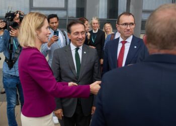 Albares urge en Copenhague a un plan inmediato para detener la guerra en Gaza