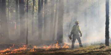 Una década de incendios en la UE: más superficie, temporadas más largas y una respuesta europea en expansión