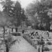 El Real Jardín Botánico-CSIC de Madrid celebra su 270º aniversario