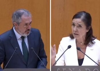 El PP tumba en el Senado una moción del PSOE para calificar de “genocidio” la situación de Gaza