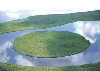 The embassies of Belgium and Honduras present ‘Guardians of the Forests’