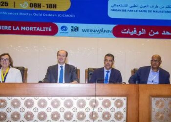 Spain and Mauritania strengthen bilateral economic, cultural, and health cooperation