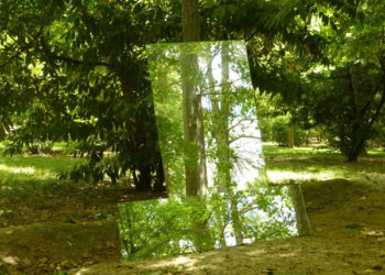 Exposición de Ana Crespo y Paula Garra en Collado Mediano (Madrid)