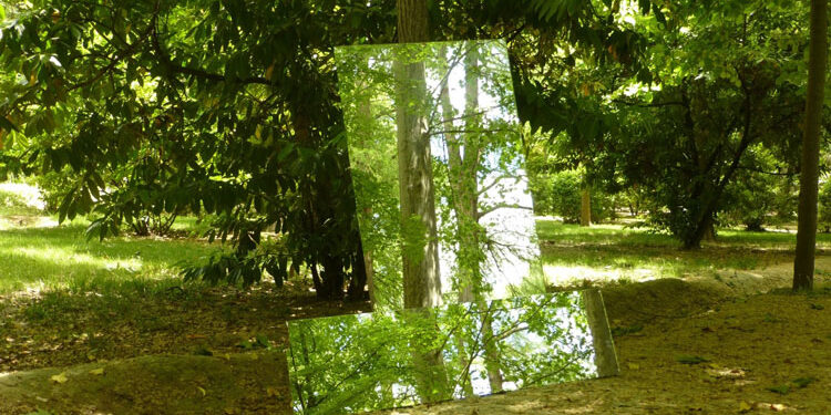 Exhibition of Ana Crespo and Paula Garra in Collado Mediano (Madrid)