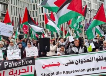 Alternativas urges Spain to promote “European channels of solidarity and cooperation” with Palestine