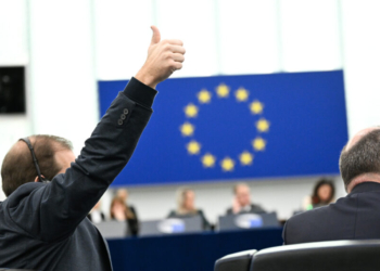 La Eurocámara solicita un dictamen jurídico al Tribunal de la UE sobre el acuerdo con Mercosur