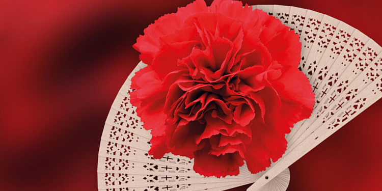 Gala de ópera y zarzuela en el Club Monteverdi de Madrid