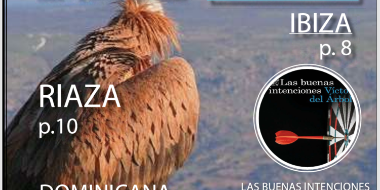 MOMAD 2026, Ibiza o El Bohío, planes de Selección Fin de Semana de Prensamedia