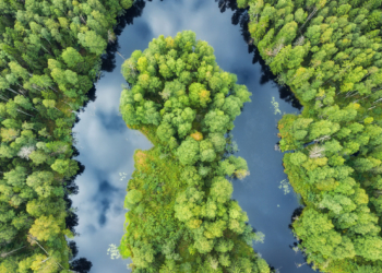 El sudoku de la transición ecosocial