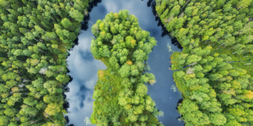 El sudoku de la transición ecosocial