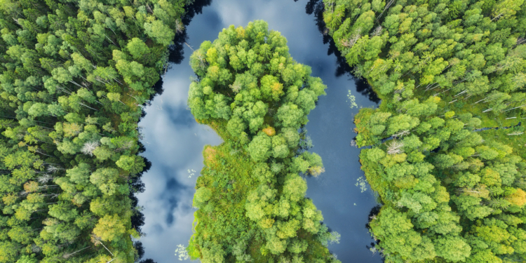 El sudoku de la transición ecosocial