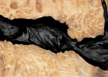 Venezuela, Trump o la aporía estética del poder