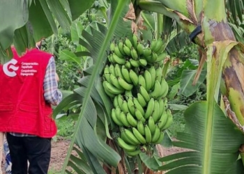 AECID seeks new general coordinators for cooperation in Senegal and Ethiopia