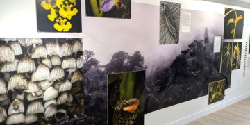 Fotografía de la exposición El futuro es botánico en el Centro Cultural Gabriel García Márquez