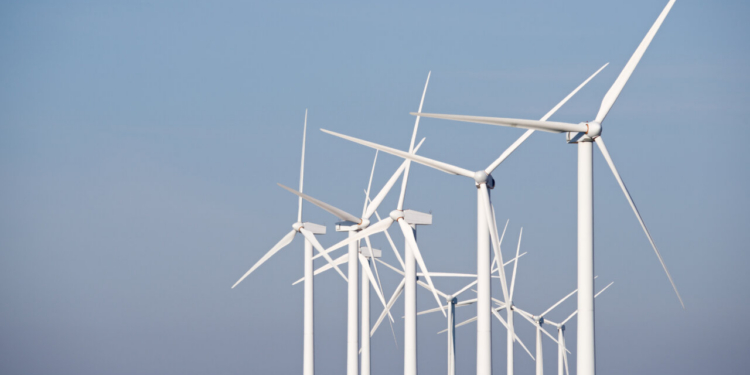 Energía eólica española; la excelencia doméstica convertida en viento a favor en la aventura exterior.