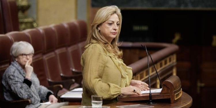 Canary Coalition warns about the future of Venezuelans in Spain when the current temporary humanitarian residency expires