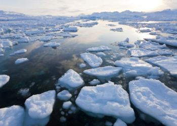 Acción climática: una necesidad urgente para la humanidad