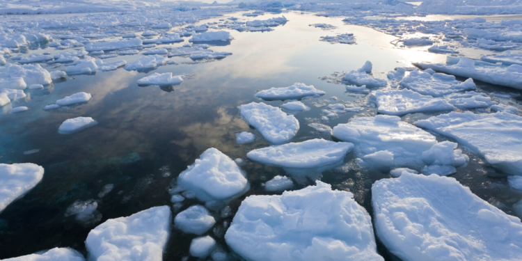Acción climática: una necesidad urgente para la humanidad