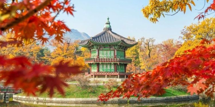 Pabellón tradicional coreano rodeado de árboles en otoño