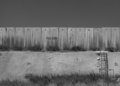 Muro de separación en Palestina con la palabra Palestina escrita