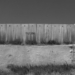 Muro de separación en Palestina con la palabra Palestina escrita