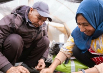 Dos trabajadores en un entorno agrícola colaborando en una actividad de cultivo.