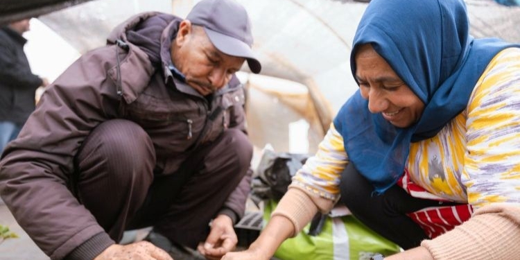 Dos trabajadores en un entorno agrícola colaborando en una actividad de cultivo.