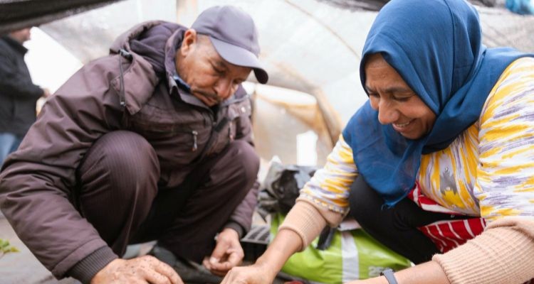 Dos trabajadores en un entorno agrícola colaborando en una actividad de cultivo.