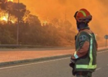 Bombero observando un incendio forestal en España