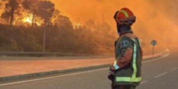 Bombero observando un incendio forestal en España
