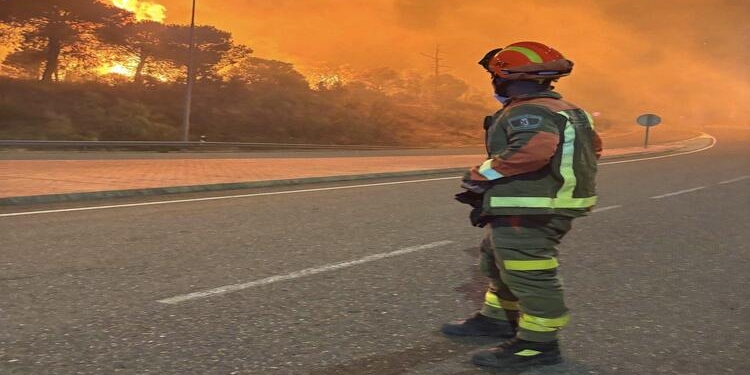 Bombero observando un incendio forestal en España durante la emergencia.