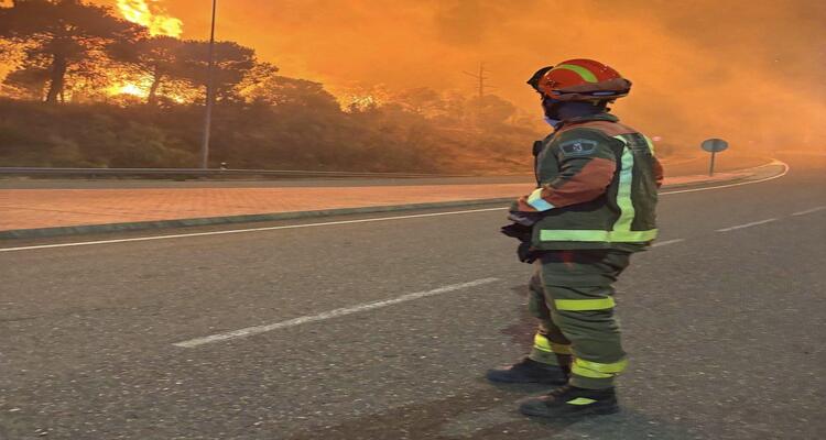 Bombero observando un incendio forestal en España durante la emergencia.
